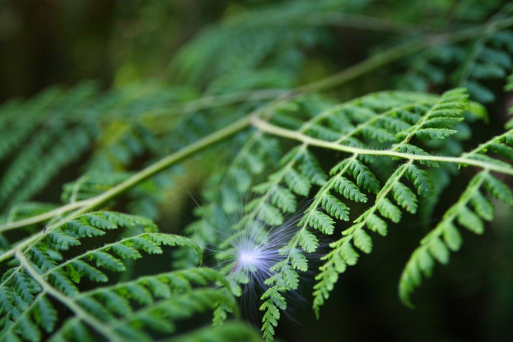 Forest Edge Rheenendal Екстер'єр фото