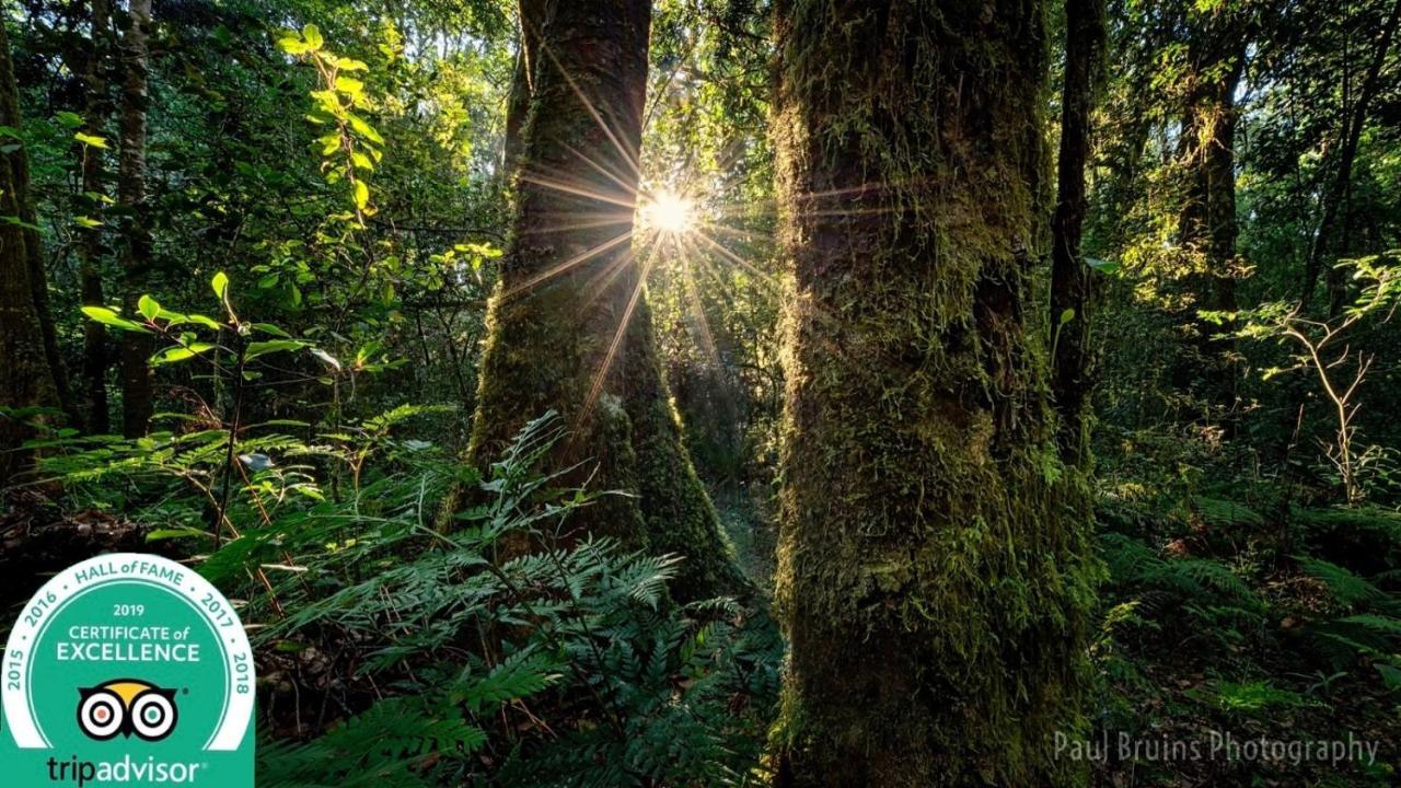 Forest Edge Rheenendal Екстер'єр фото